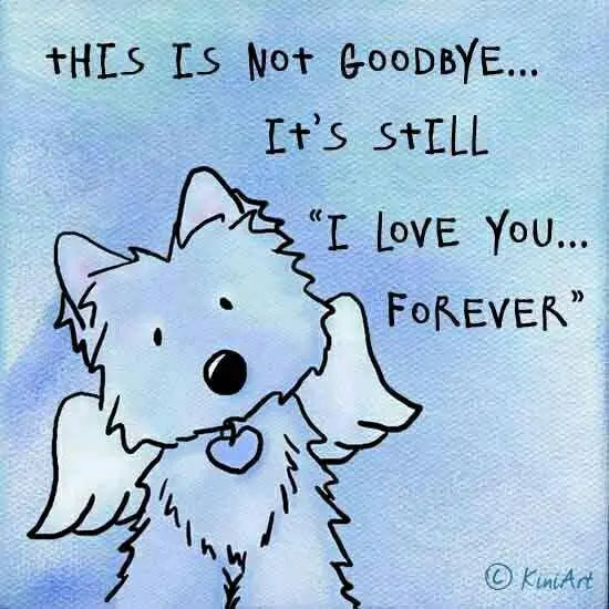Condolence image of USCHI !!!