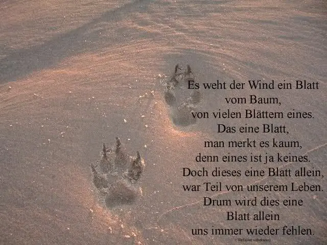 Condolence image of Unbekannt