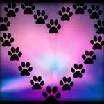 Condolence image of USCHI !!!