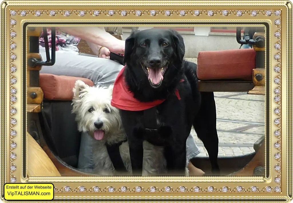 Image from Babsy und Jenny