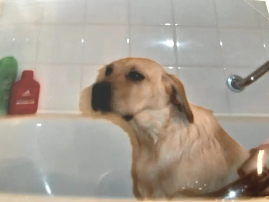 Andachtsbild von Elzbieta mit Max im Herzen