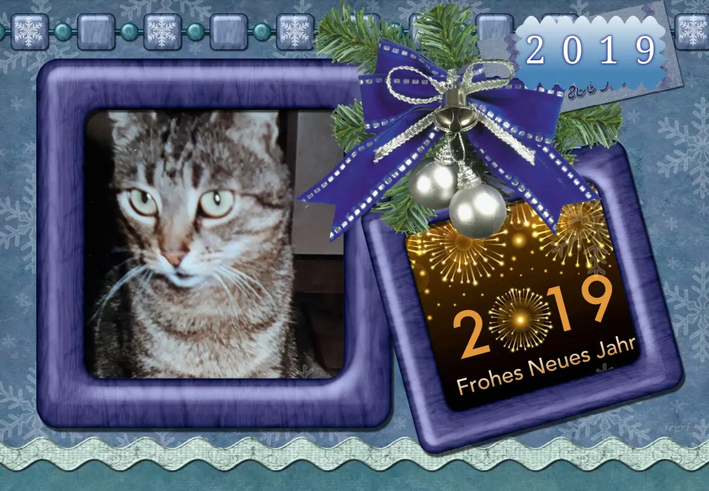 Andachtsbild von Klaudia mit Misiu❤❤❤Ganz Tief im Herzen❤