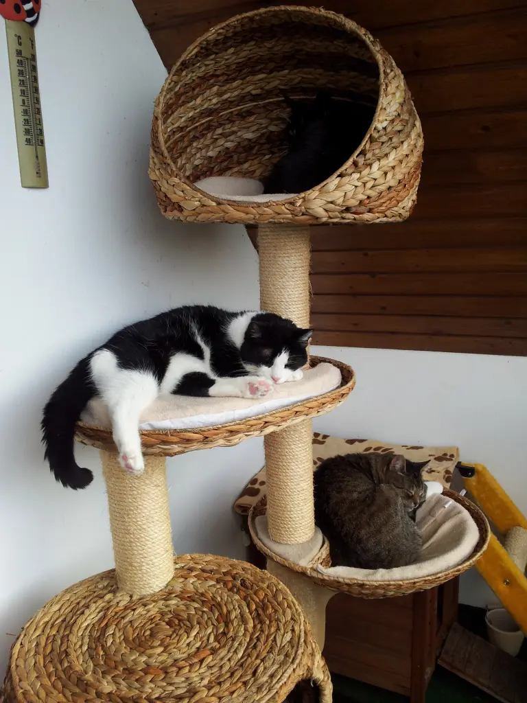 Andachtsbild von Ilse mit Gismo, Fee und Minna tief im Herzen