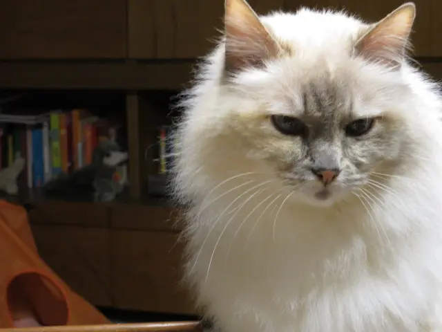 Andachtsbild von Uschi