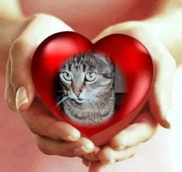 Andachtsbild von Sonntags Rosen❤️fur Liebe Mulle❤️