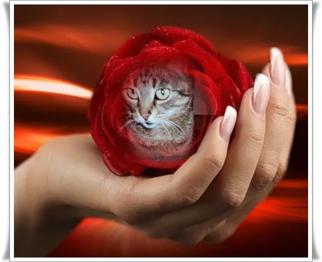 Andachtsbild von ❤️❤️❤️