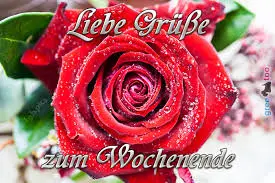 Andachtsbild von Jutta mit Purzel tief im Herzen ✟ 08.05.2016