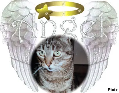 Andachtsbild von ❤️❤️❤️