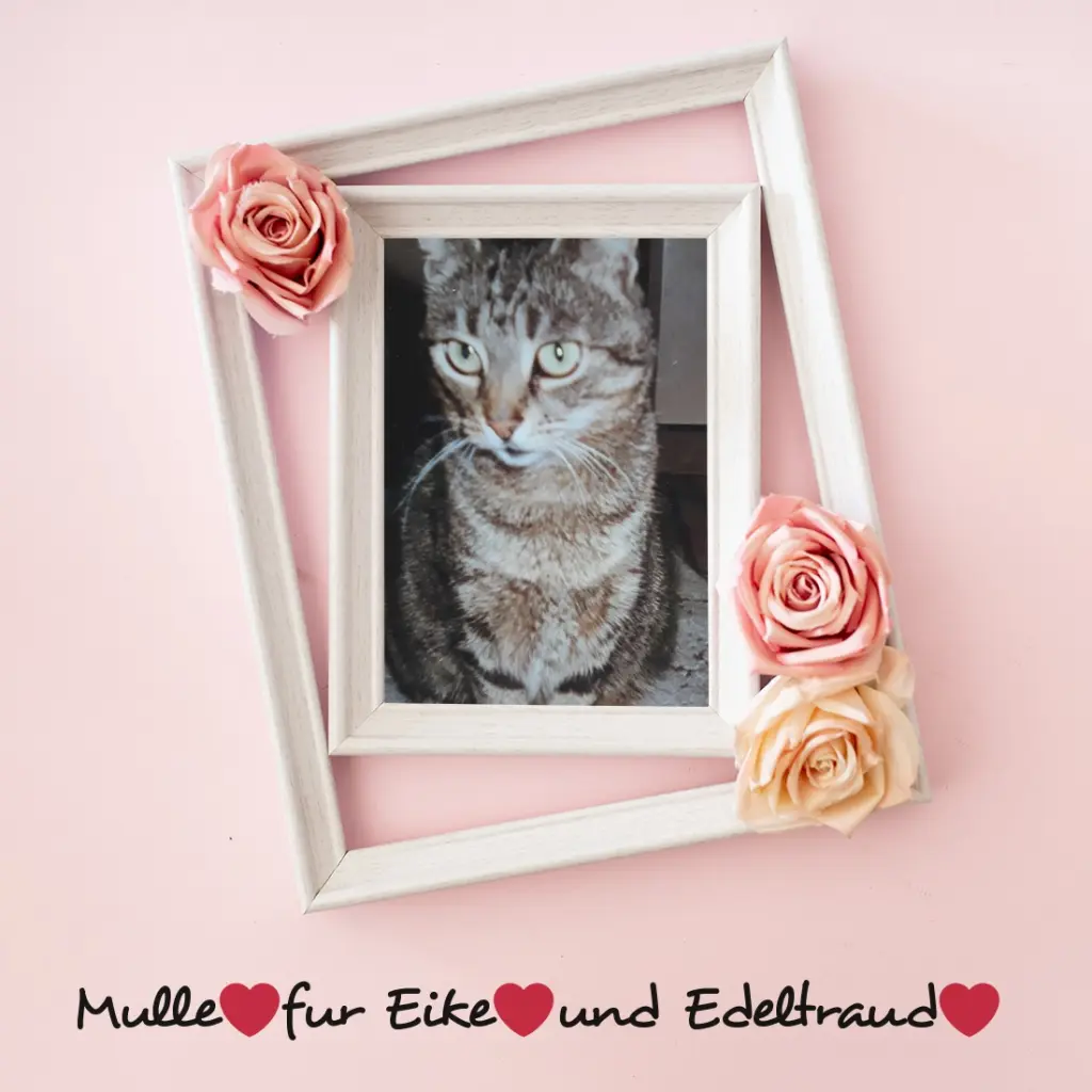 Andachtsbild von ❤️❤️❤️