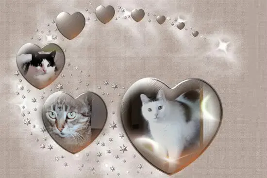 Andachtsbild von ❤️❤️❤️