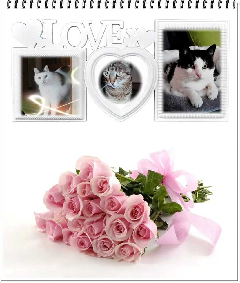 Andachtsbild von ❤️❤️❤️