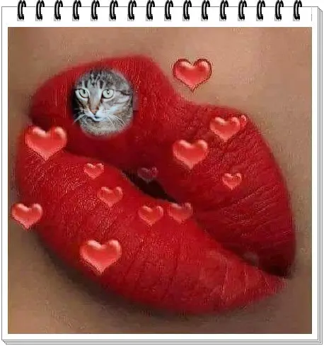 Andachtsbild von ❤️❤️❤️