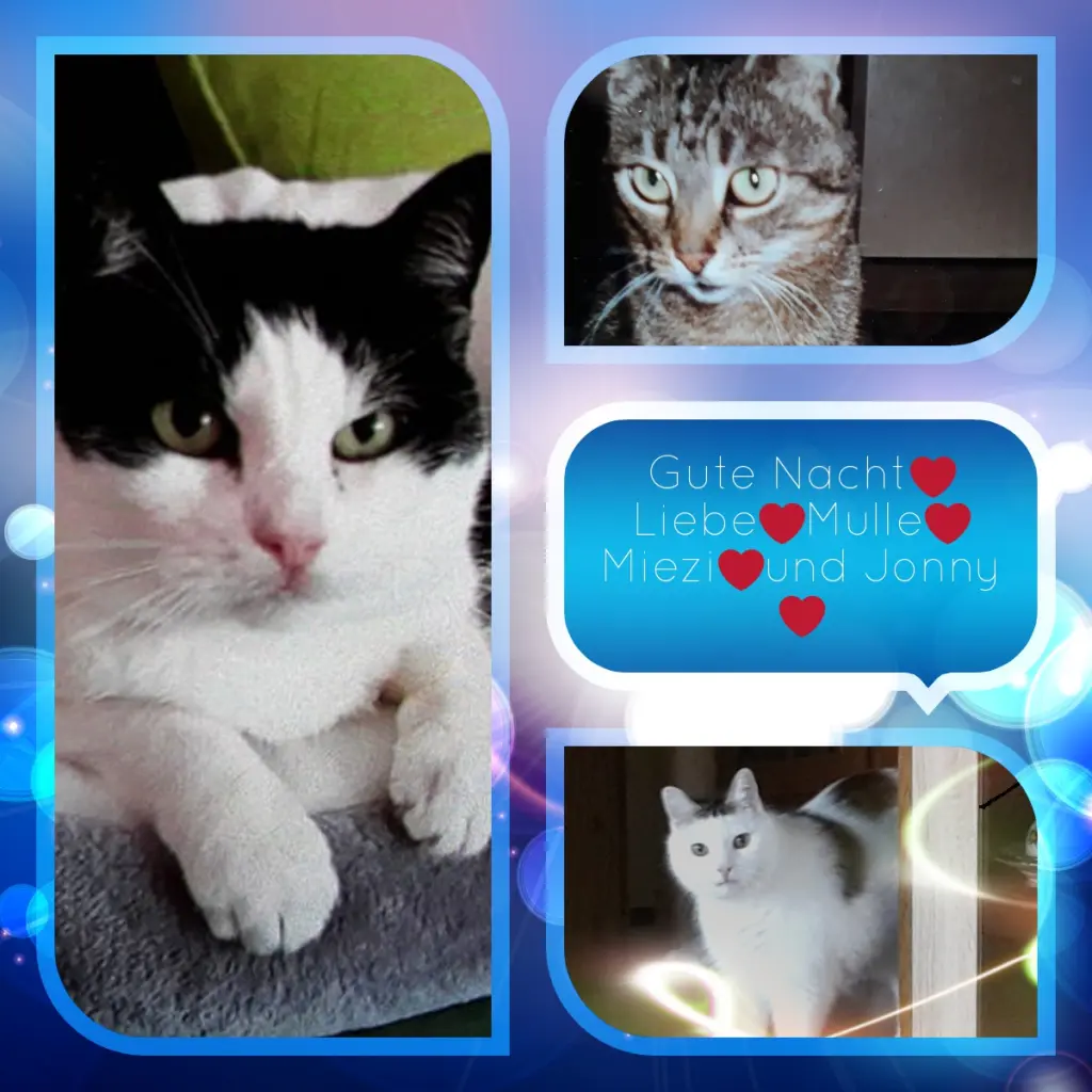 Andachtsbild von ❤️❤️❤️