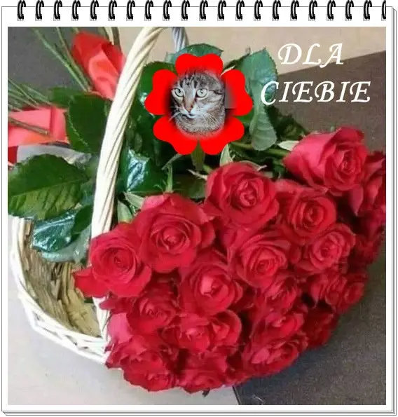 Andachtsbild von ❤️❤️❤️