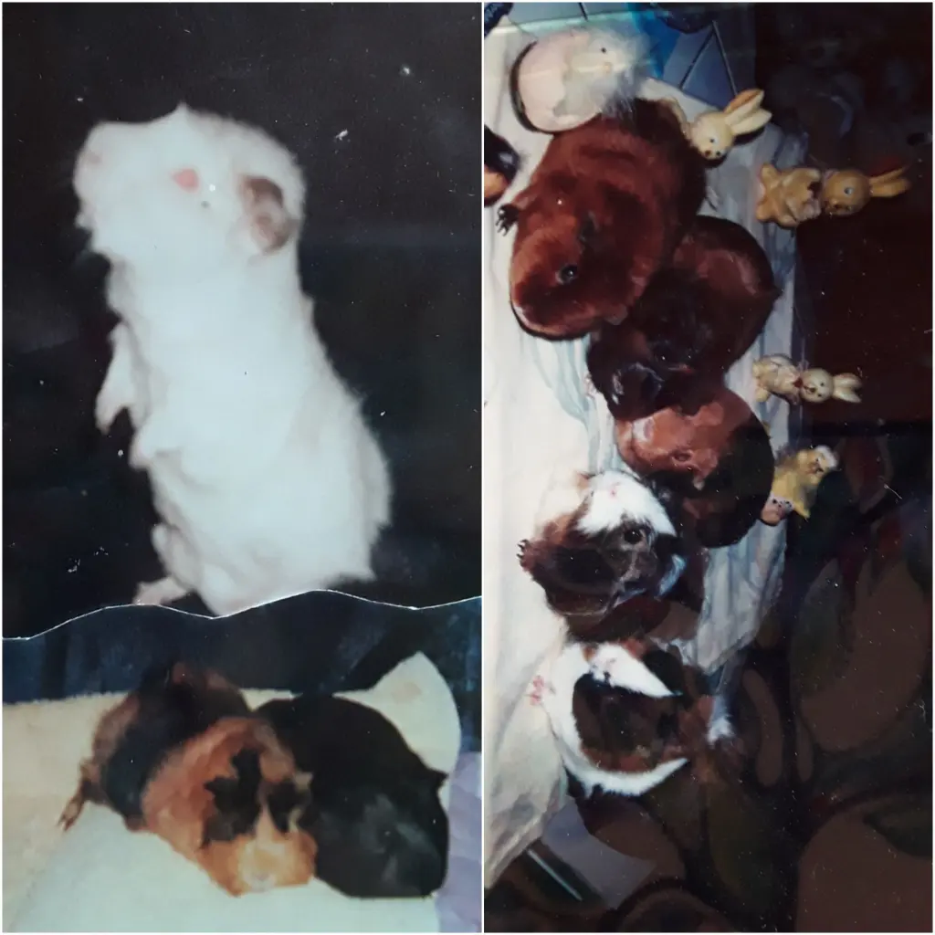 Andachtsbild von Deine Mutti Eike und Oma Edeltraud 