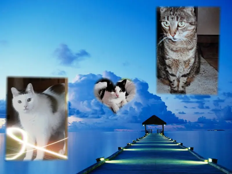 Andachtsbild von ❤️❤️❤️