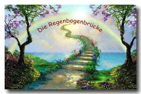 Andachtsbild von Ilse mit Jule, Gismo, Fee und Minna tief im Herzen