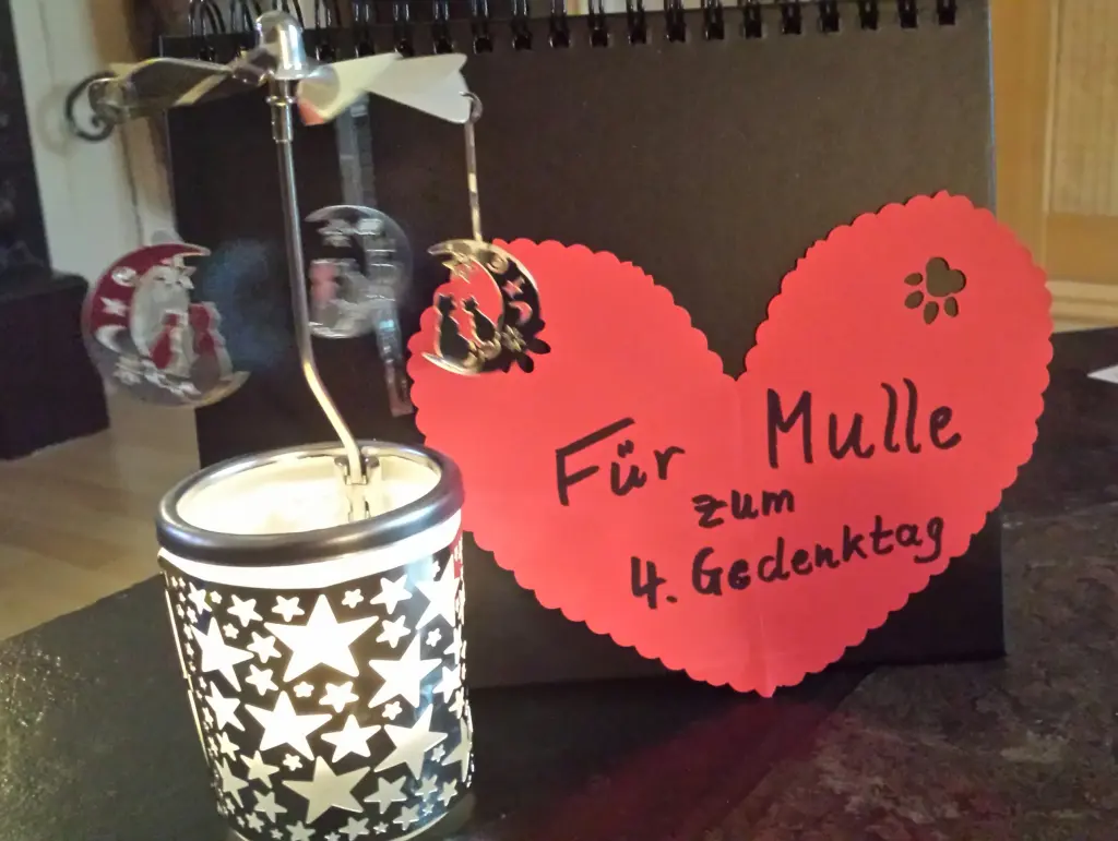 Andachtsbild von Ilse mit Jule, Gismo, Fee und Minna tief im Herzen