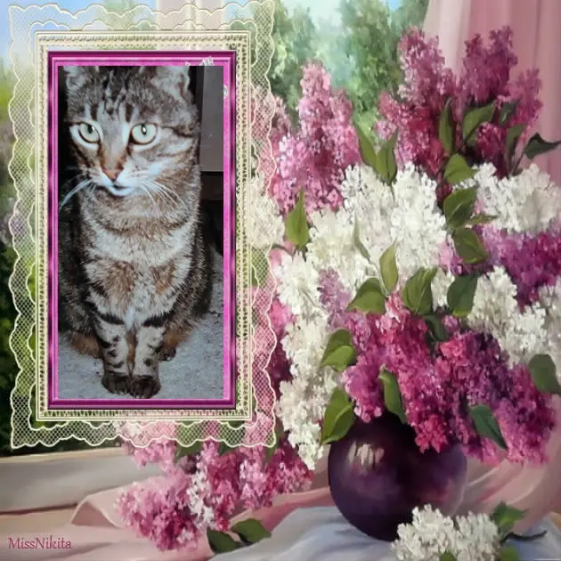 Andachtsbild von Fur Liebe❤️Mulle❤️