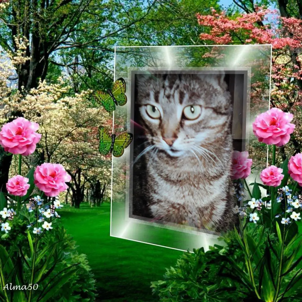 Andachtsbild von ❤️❤️❤️