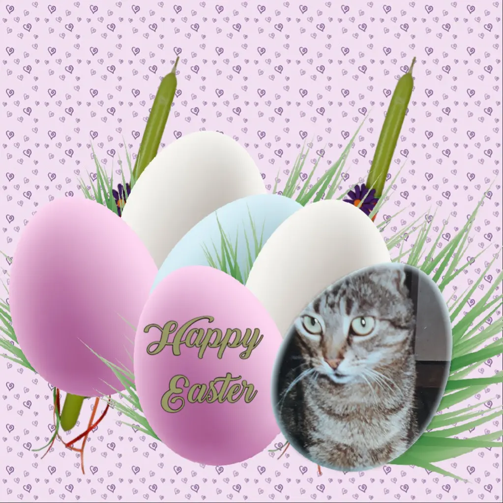 Andachtsbild von ❤️❤️❤️