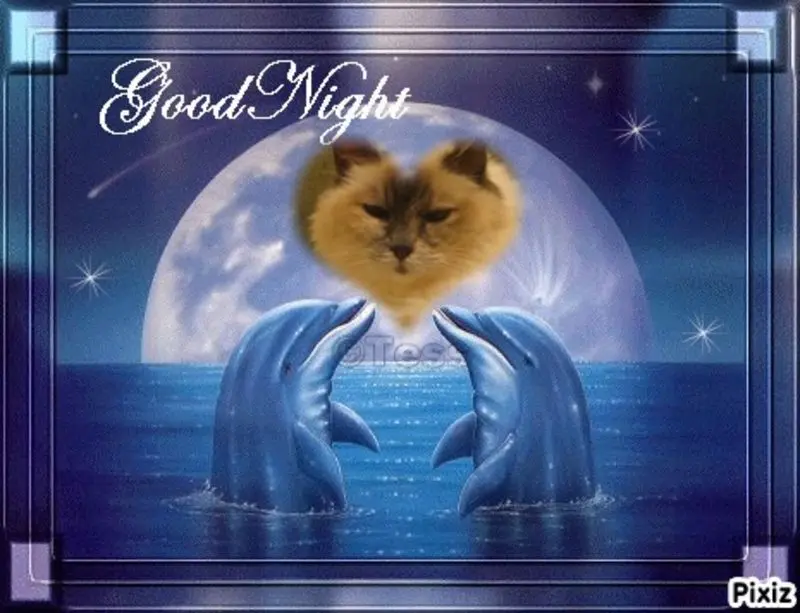 Andachtsbild von Uschi mit Seelenkatzen Jojo und Merlin