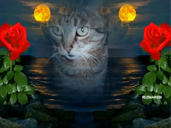 Andachtsbild von ❤️❤️❤️