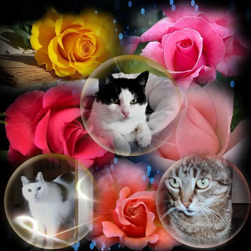 Andachtsbild von ❤️❤️❤️