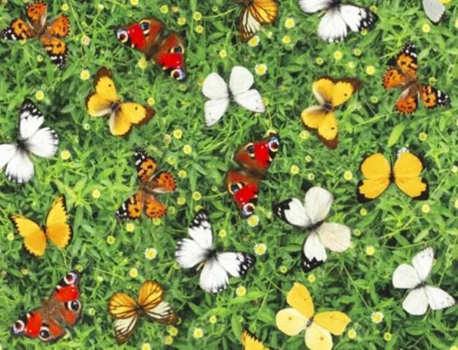 Andachtsbild von Eine späte Sonntagsrose für Mulle