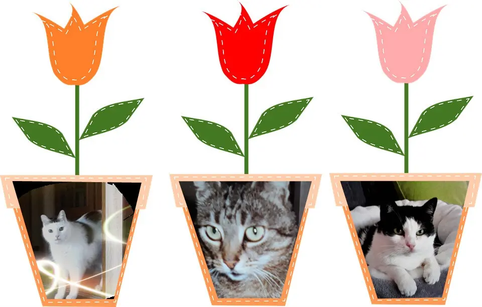 Andachtsbild von ❤️❤️❤️