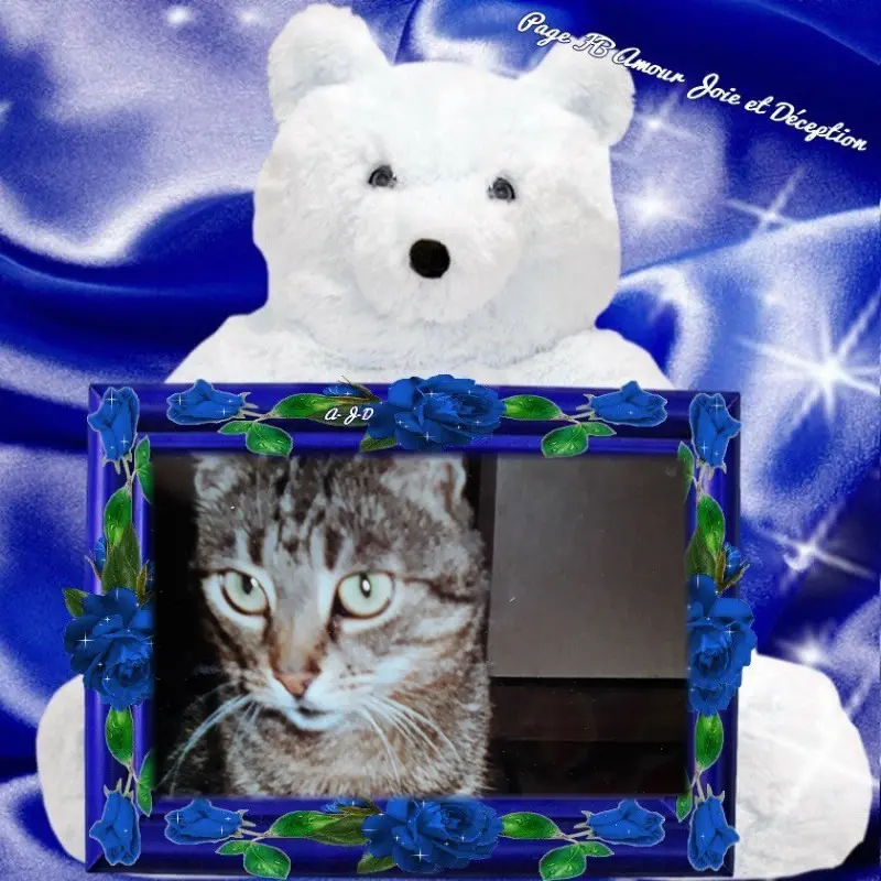 Andachtsbild von ❤️❤️❤️❤️