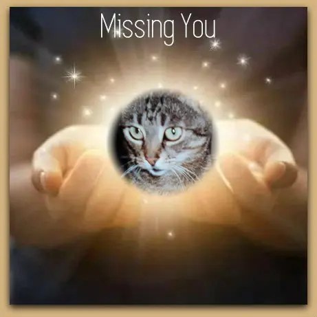 Andachtsbild von Unbekannt