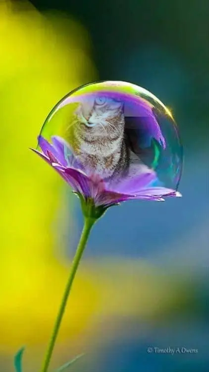 Andachtsbild von ❤️❤️❤️