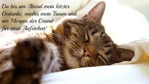 Andachtsbild von 1 Wochenendrose