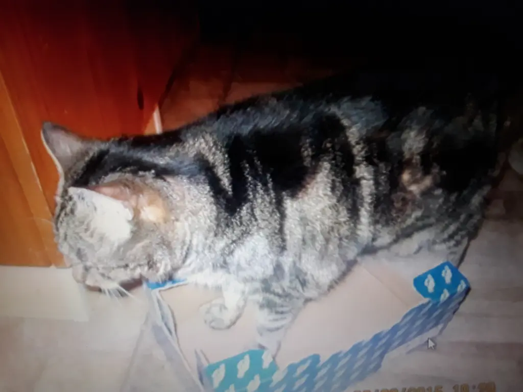 Andachtsbild von Deine Mutti Eike und Oma Edeltraud ♥️