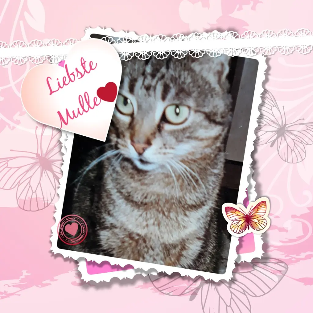 Andachtsbild von ❤️❤️❤️