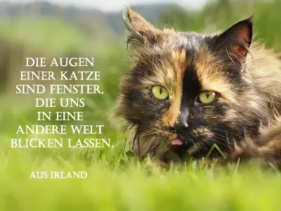 Andachtsbild von Brigitte mit Nelly, Benny und Axel im Herzen