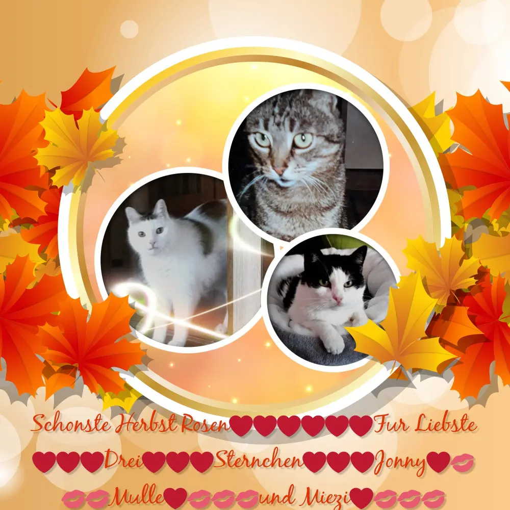 Andachtsbild von ❤️❤️❤️