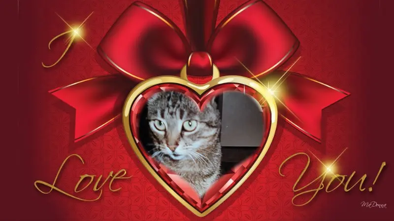 Andachtsbild von ❤️❤️❤️