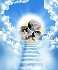 Andachtsbild von ❤️❤️❤️