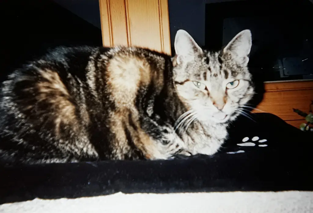 Andachtsbild von Deine Mutti Eike und Oma Edeltraud ♥️♥️