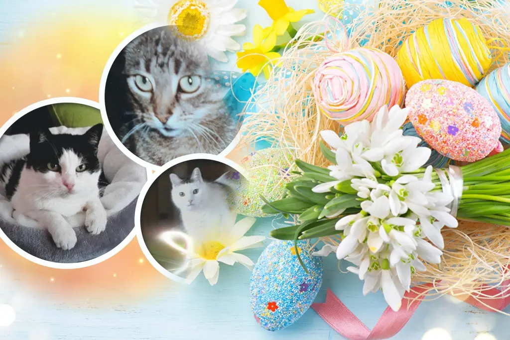 Andachtsbild von ❤️❤️❤️