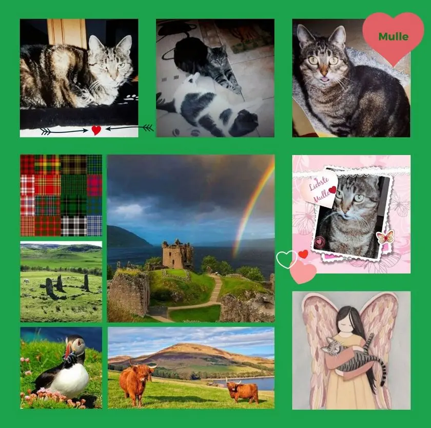 Andachtsbild von Rosen zum 5. Sternchengeburtstag für Mulle 