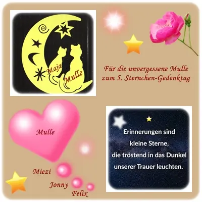 Andachtsbild von Ilse mit Tier-Sternlein Maja, Jule, Gismo, Fee und Minna im Herzen
