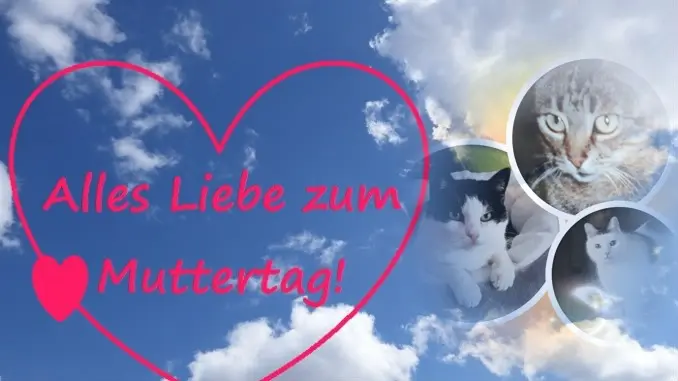 Andachtsbild von ❤️MAMA❤️