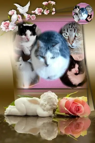 Andachtsbild von Deine Mutti Eike und Oma Edeltraud 