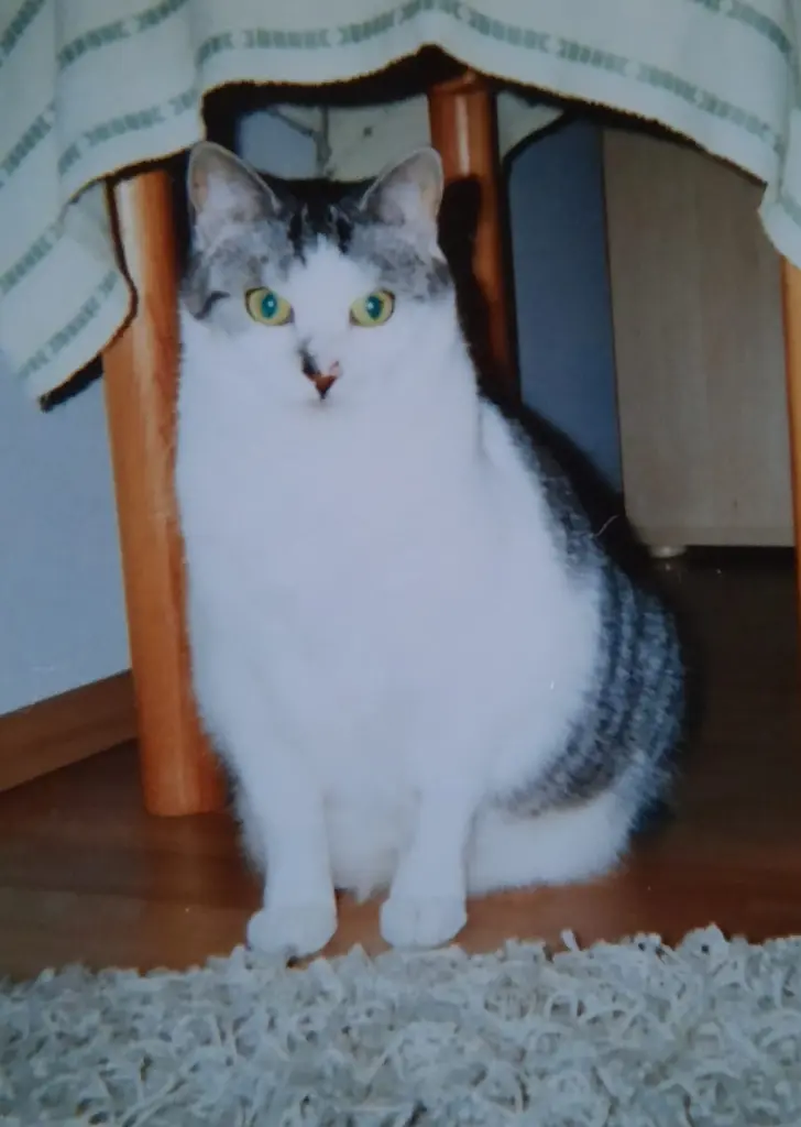 Andachtsbild von Deine Mutti Eike und Oma Edeltraud 