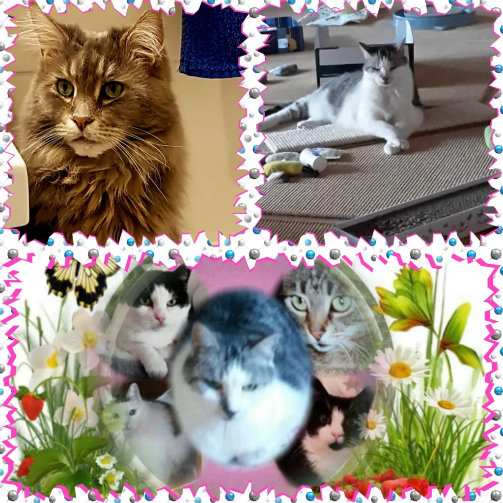 Andachtsbild von Deine Mutti Eike und Oma Edeltraud ♥️♥️