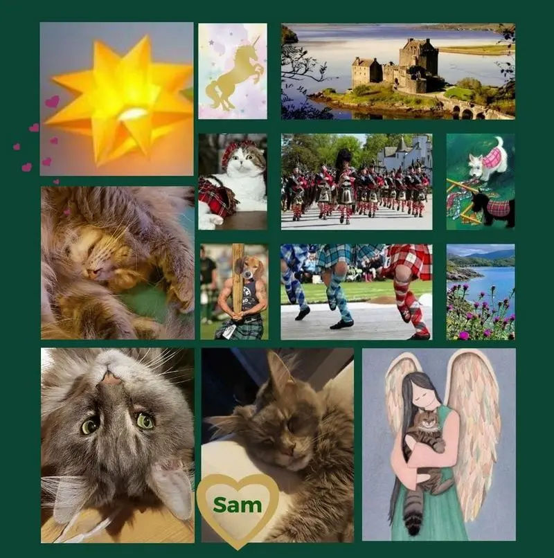 Andachtsbild von Rosen für Mulle 