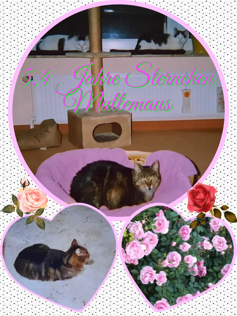 Andachtsbild von Deine Mutti Eike und Oma Edeltraud ❤❤